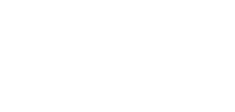 Particle element